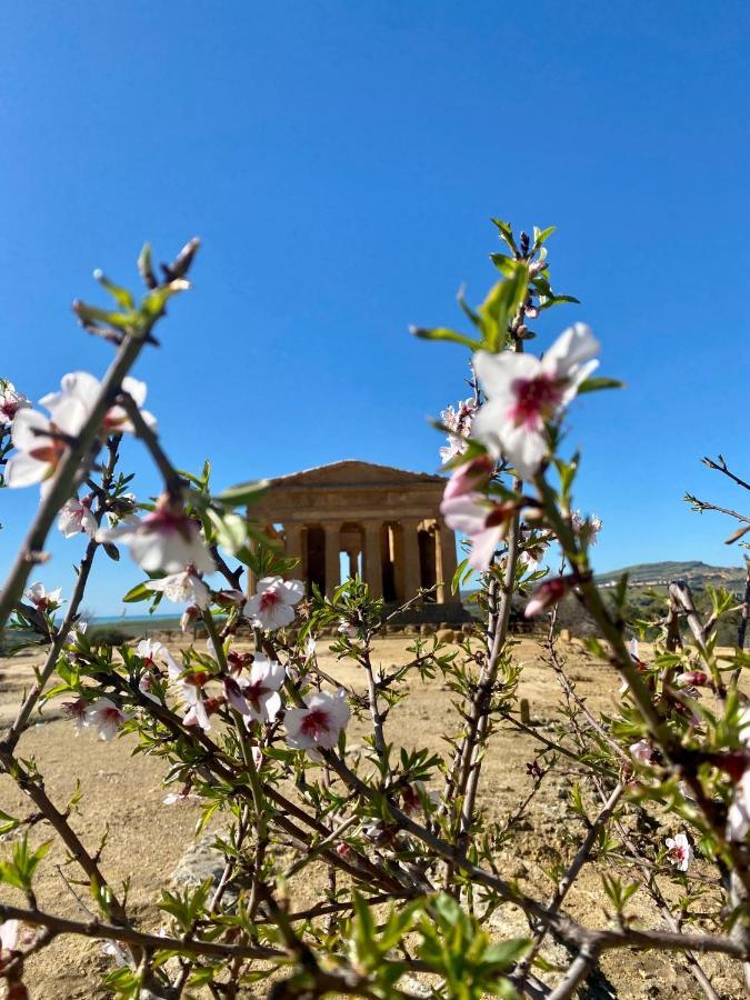 سان ليون B&B Le Sorelle المظهر الخارجي الصورة